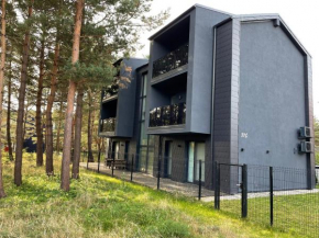 Sea Apartment in Palanga